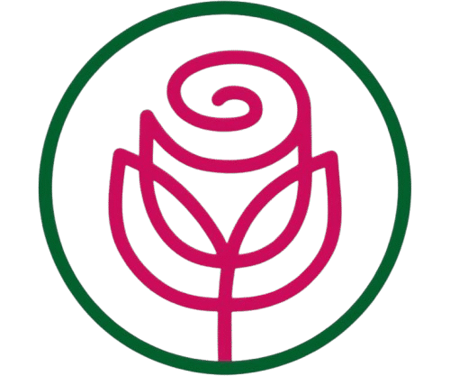 cropped-WhatsApp_Image_2024-12-27_at_21.31.04-removebg-preview.png