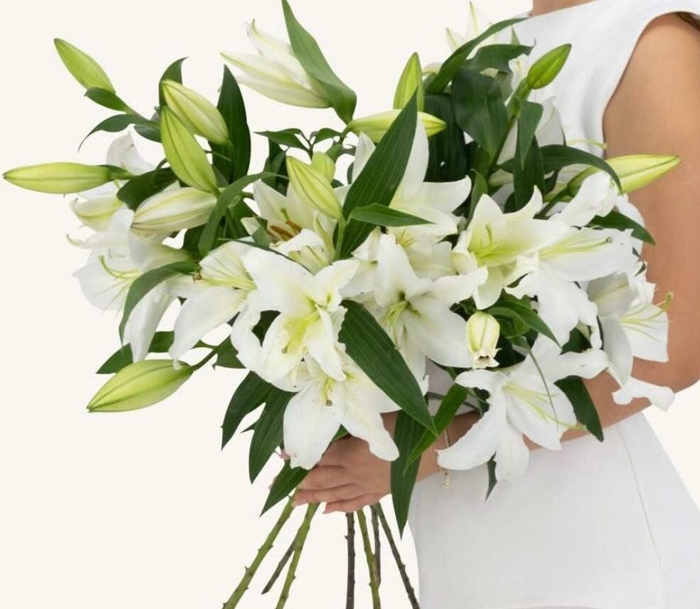 Bouquet de lys blanc